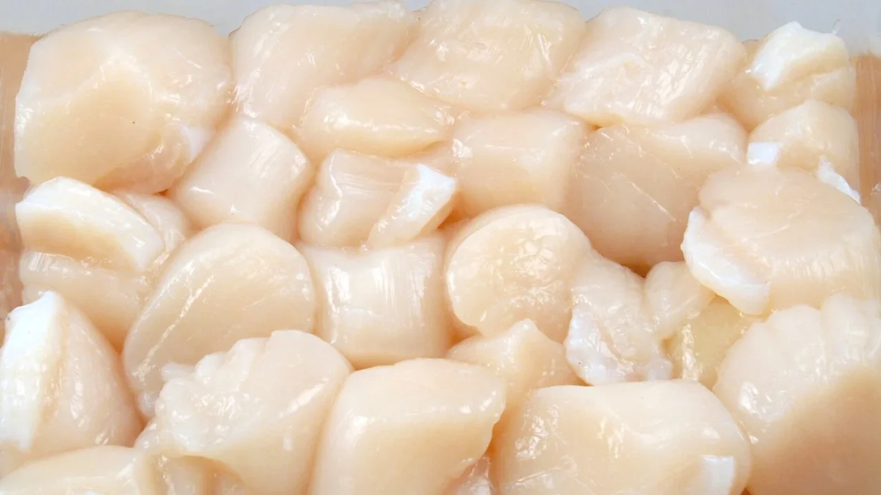 Pholikolaphilie: Die faszinierende Welt des Sammelns von Bierkronen und Kronkorken